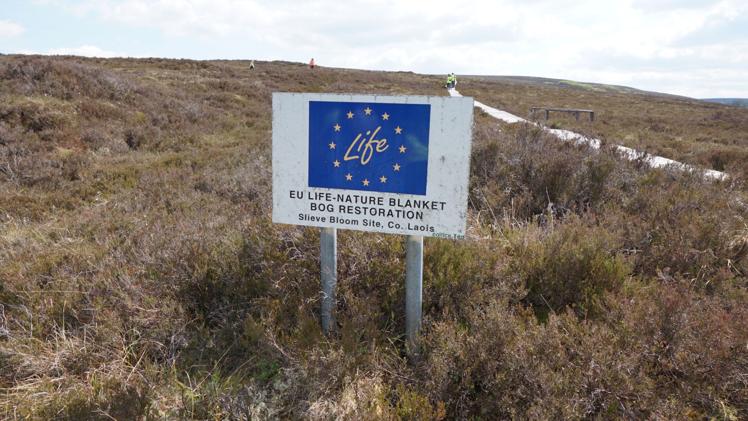 blanket bog ireland