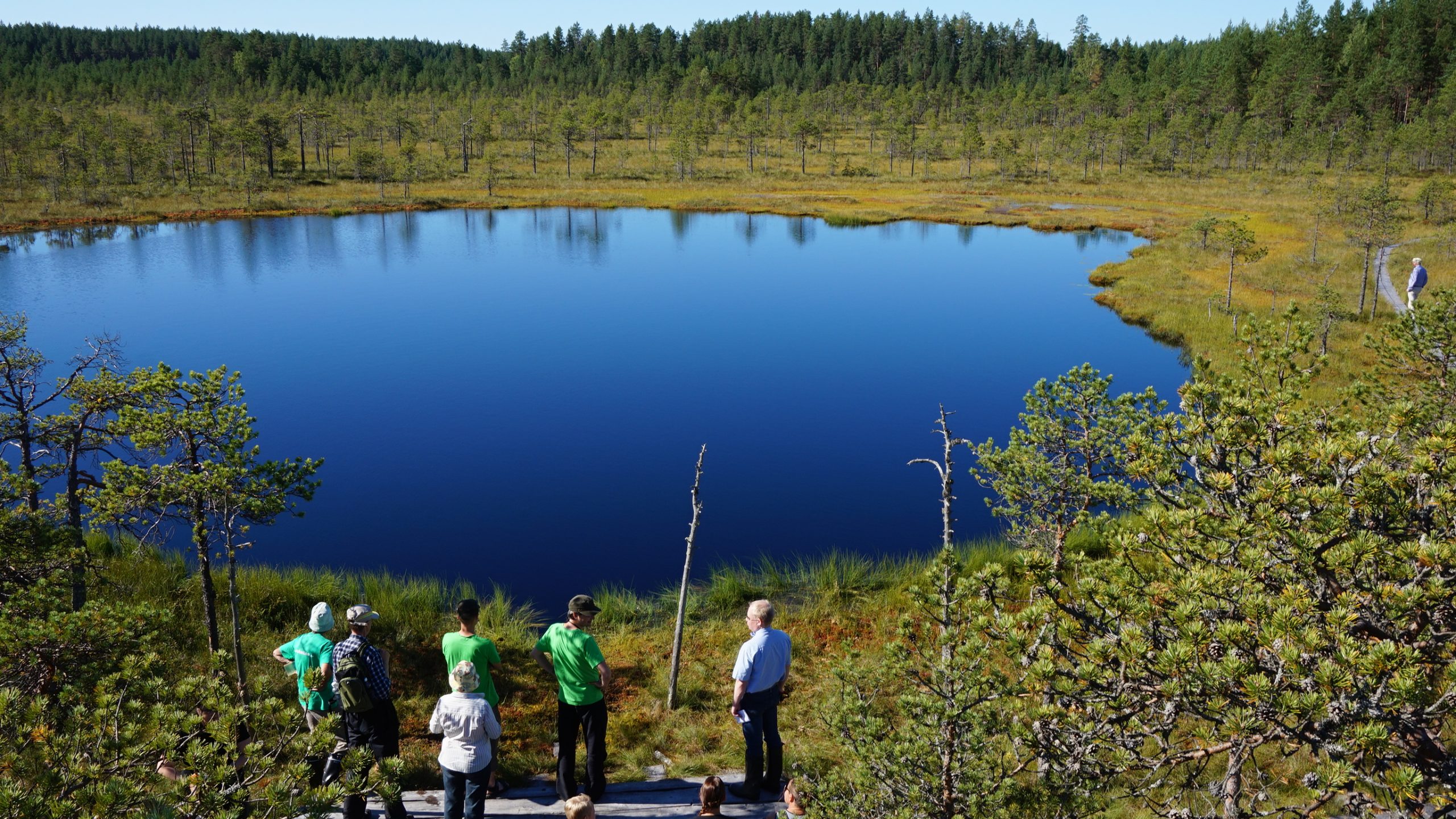 peatland leivonmäki suo