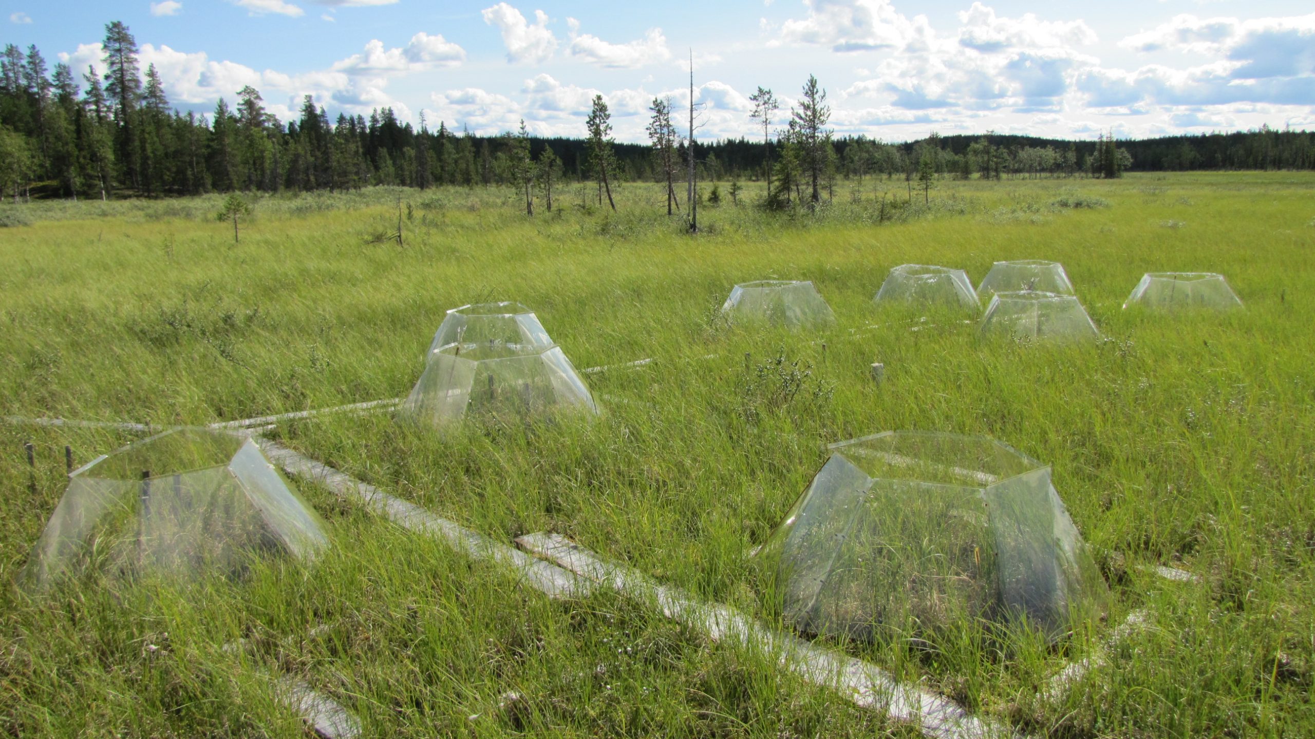 peatland lapland measuring