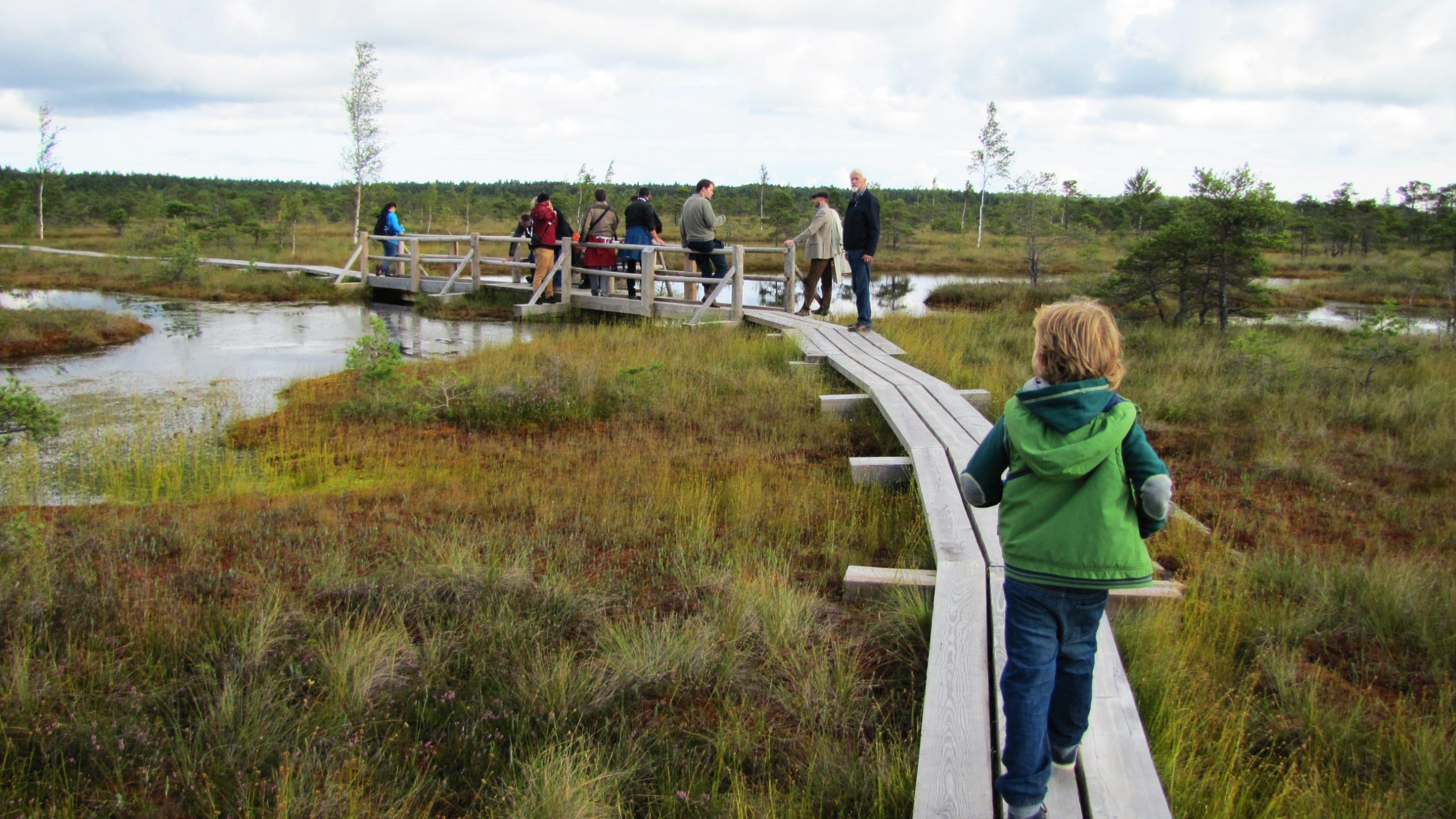 peatland latvia kid