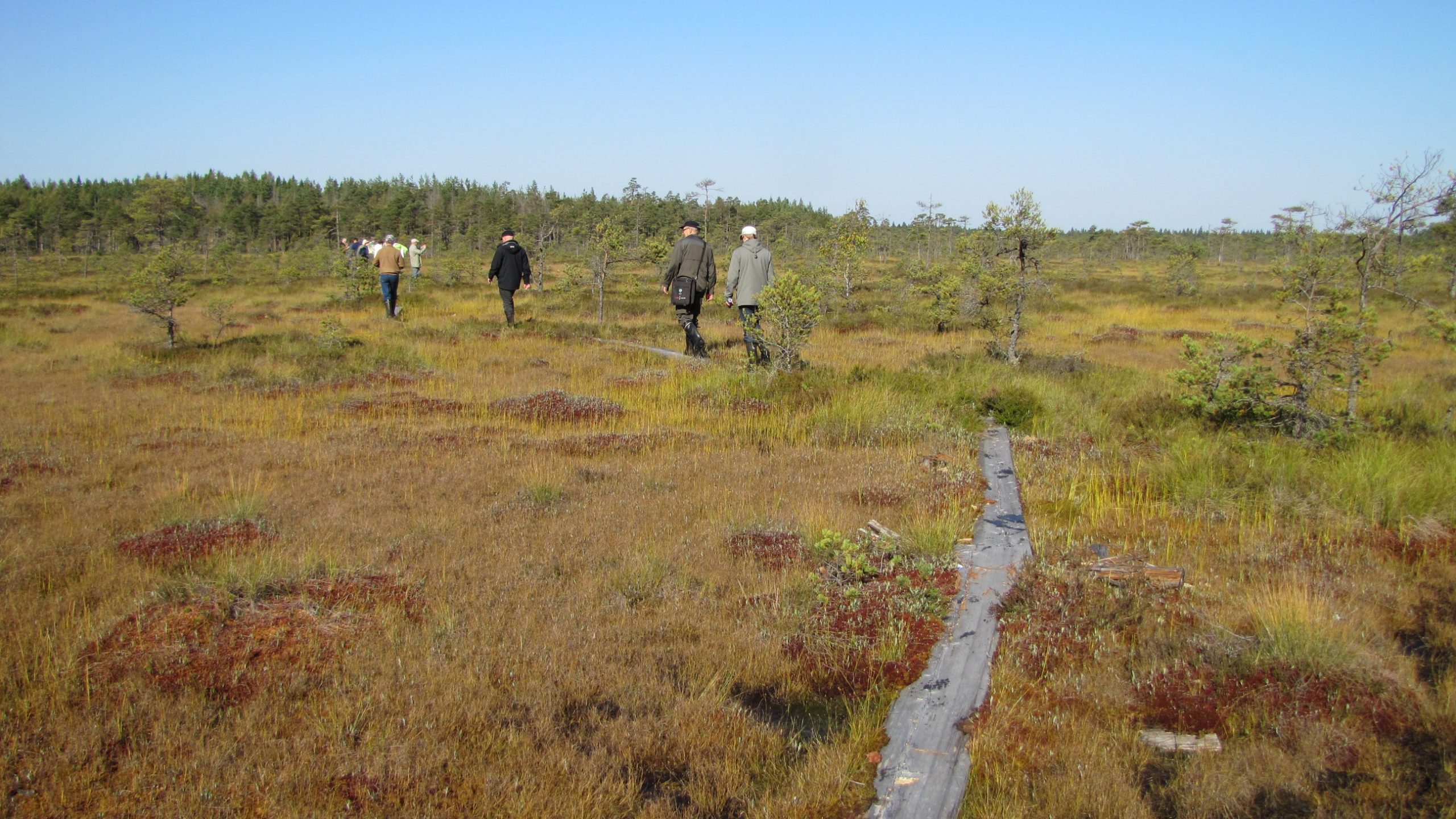 peatland finland