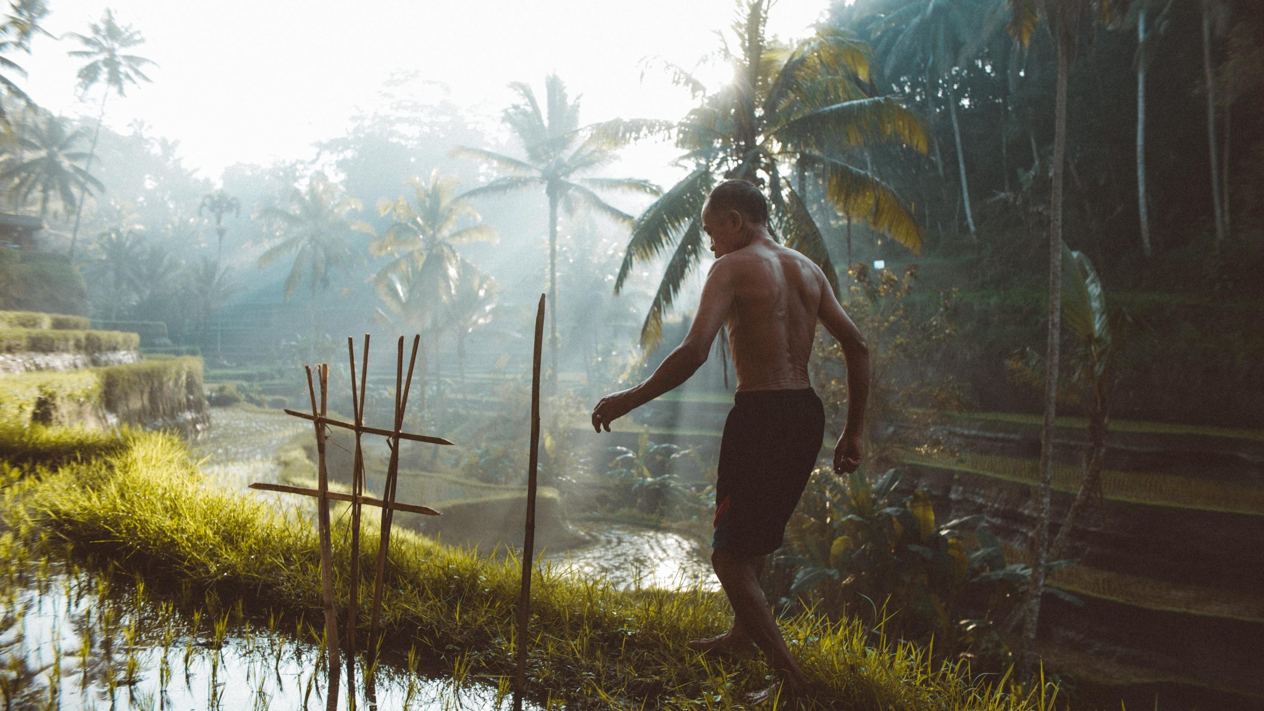 tropical peatland and man