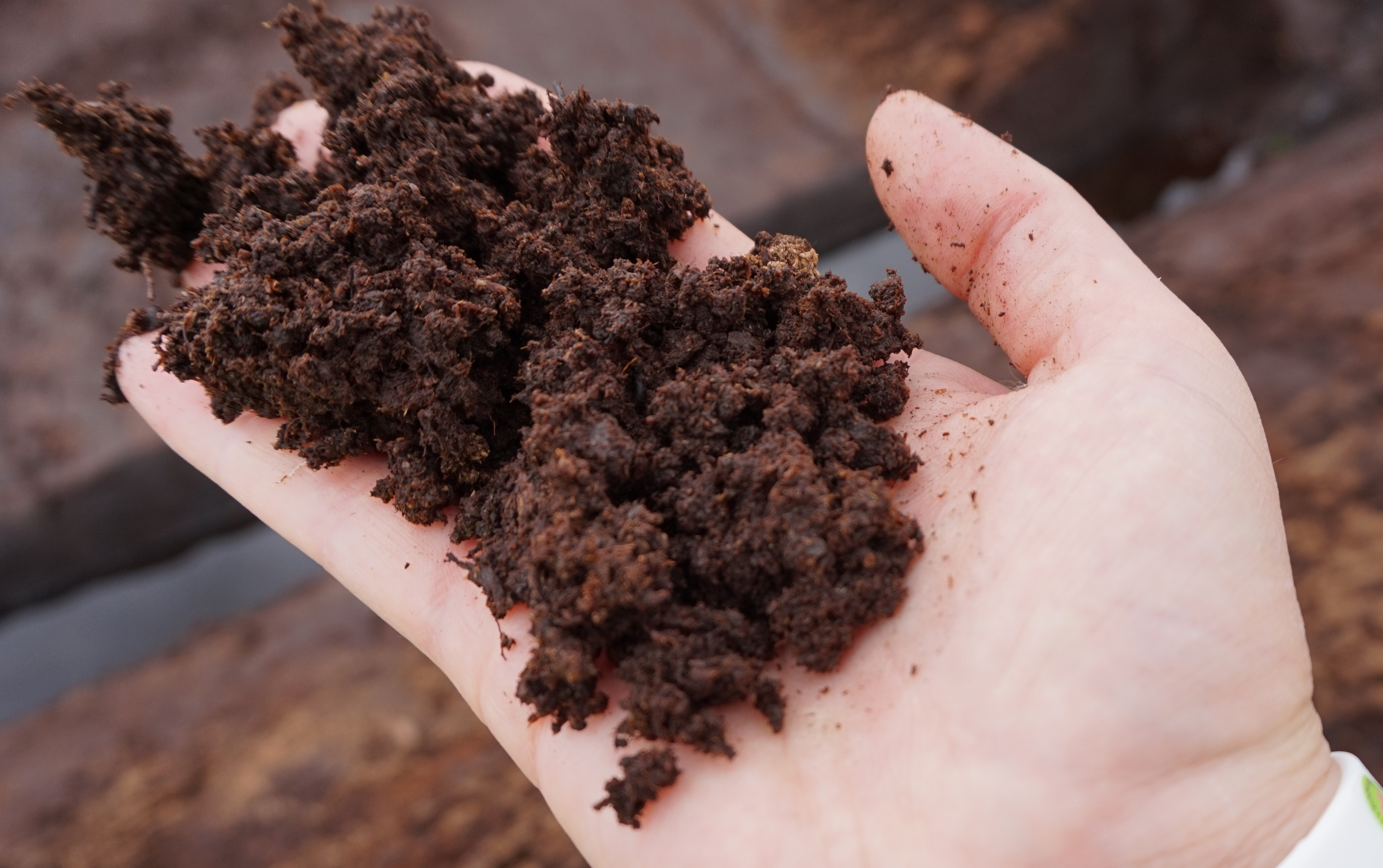 What is peat and what is its importance in gardening?