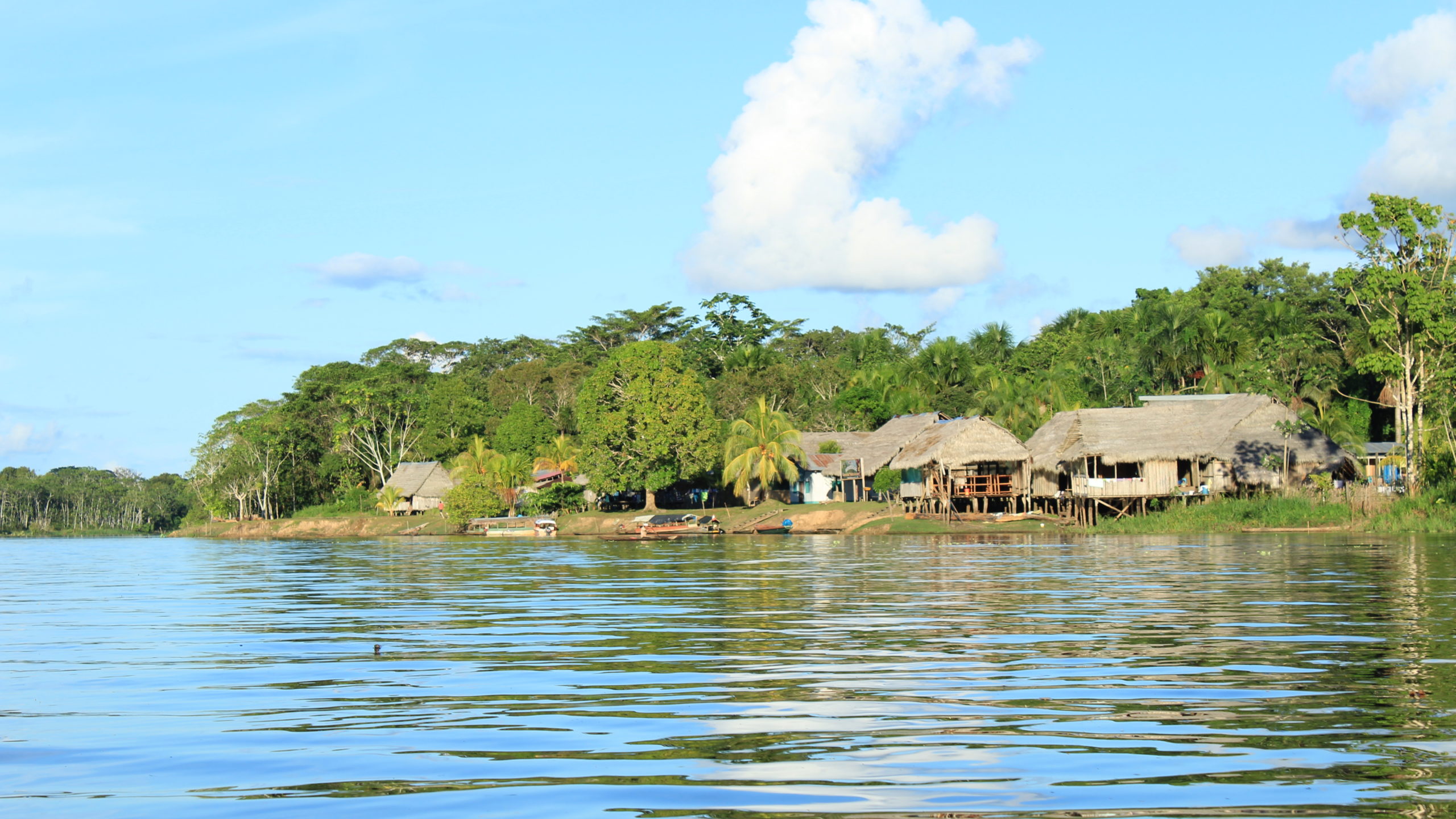 Buenos Aires, Pacaya Samiria National Reserve, Peruvian Amazon