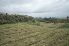 Sphagnum terrace on top, rice terrace below