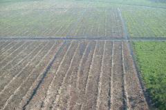 Peatland Management in SE Asia
