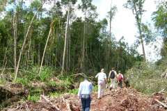 Peatland Management in SE Asia