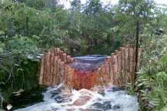 Peatland Management in SE Asia