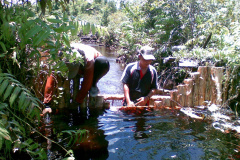 Peatland Management in SE Asia