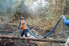Peatland Management in SE Asia