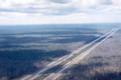 Peatland Management in SE Asia
