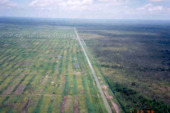 Peatland Management in SE Asia