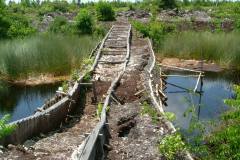 PEATLAND MANAGEMENT IN SOUTH EAST ASIA