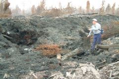PEATLAND MANAGEMENT IN SOUTH EAST ASIA